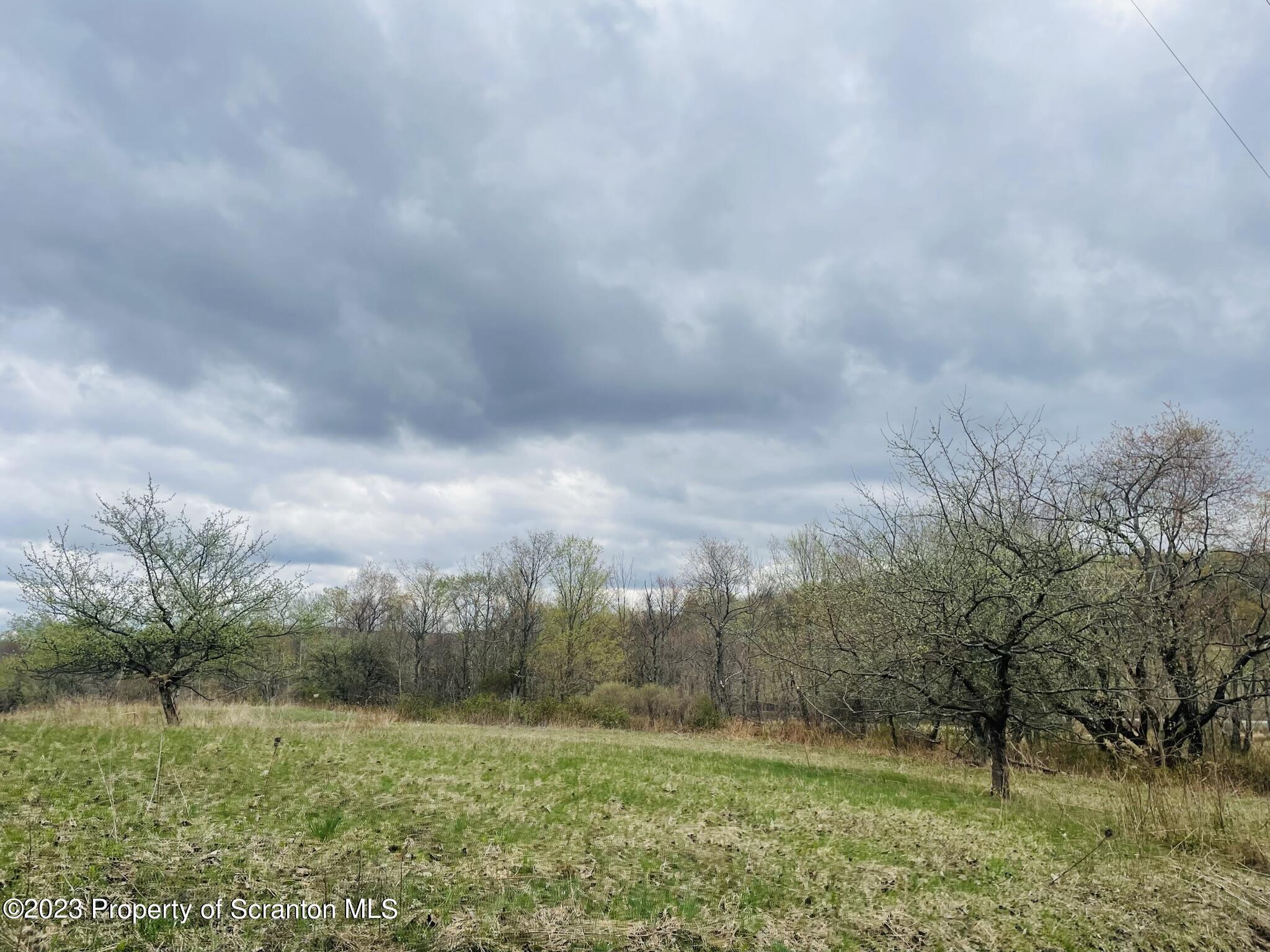 176 Stack Road Thompson, PA 18465 - Photo 49 of 53 a view of a green field
