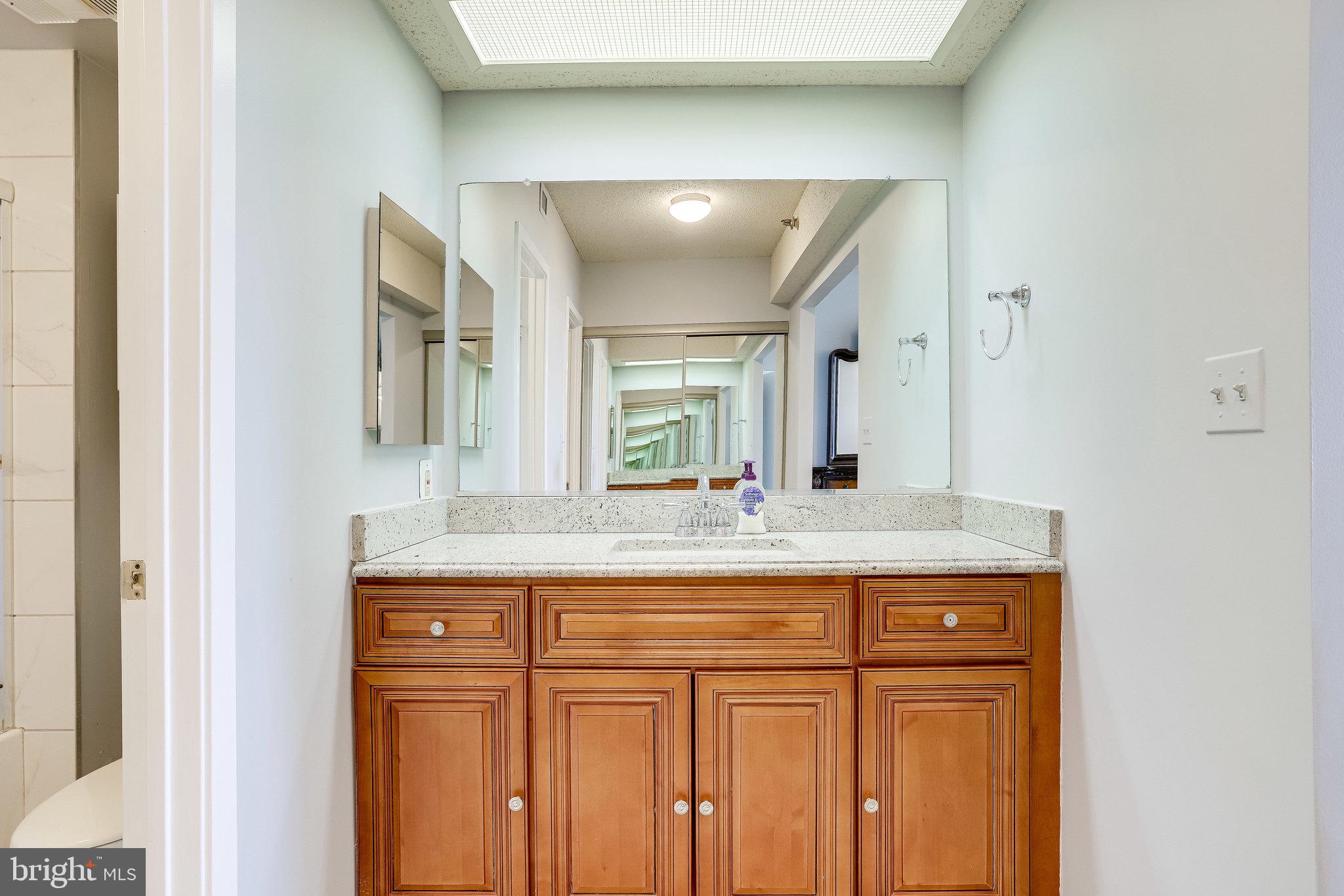 5501 Seminary Road, Unit 105S Falls Church, VA 22041 - Photo 18 of 34 Primary Vanity w/ granite counter tops