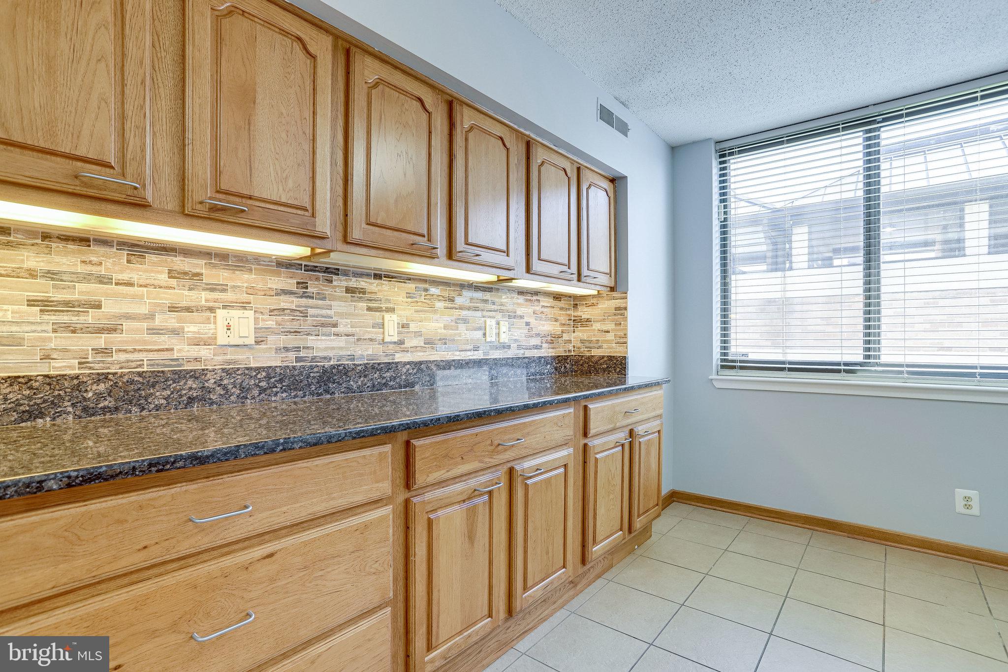 5501 Seminary Road, Unit 105S Falls Church, VA 22041 - Photo 4 of 34 LED under kitchen light fixtures