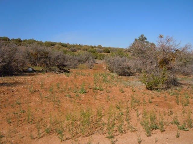 0 Country Canyon Road Tehachapi, CA 93561 - Photo 1 of 16 Gallery Image 1