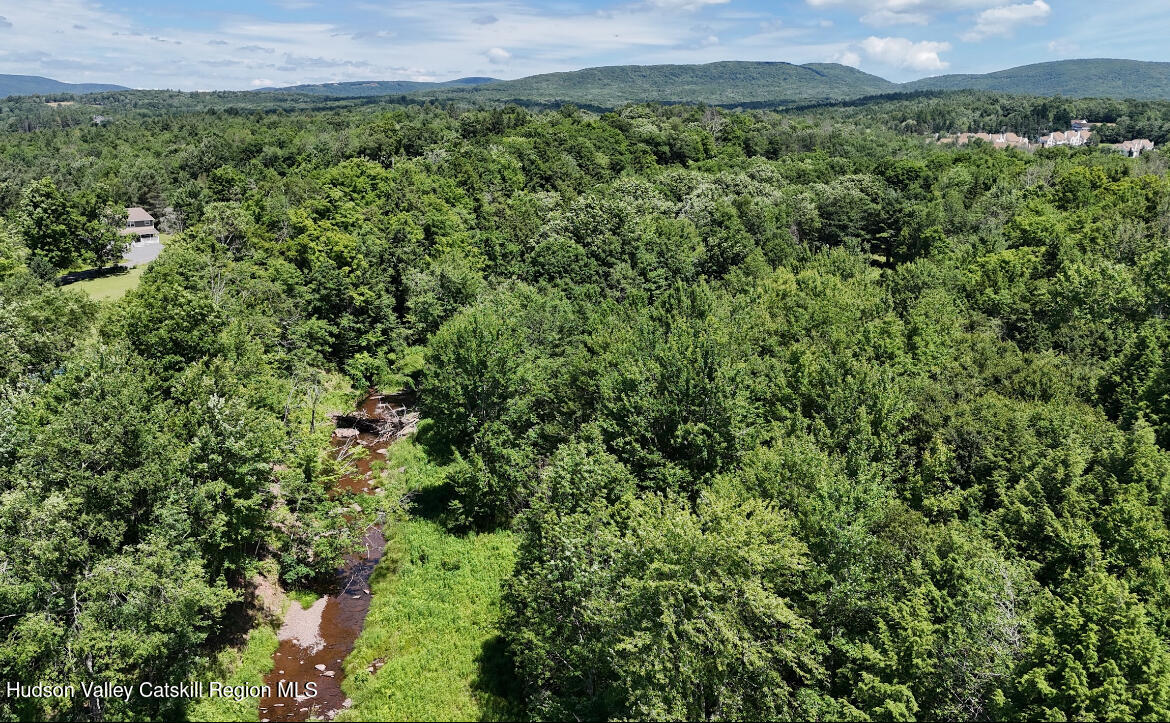 33 Elm Ridge Road Hensonville, NY 12439 - Photo 55 of 67 IMG_3206