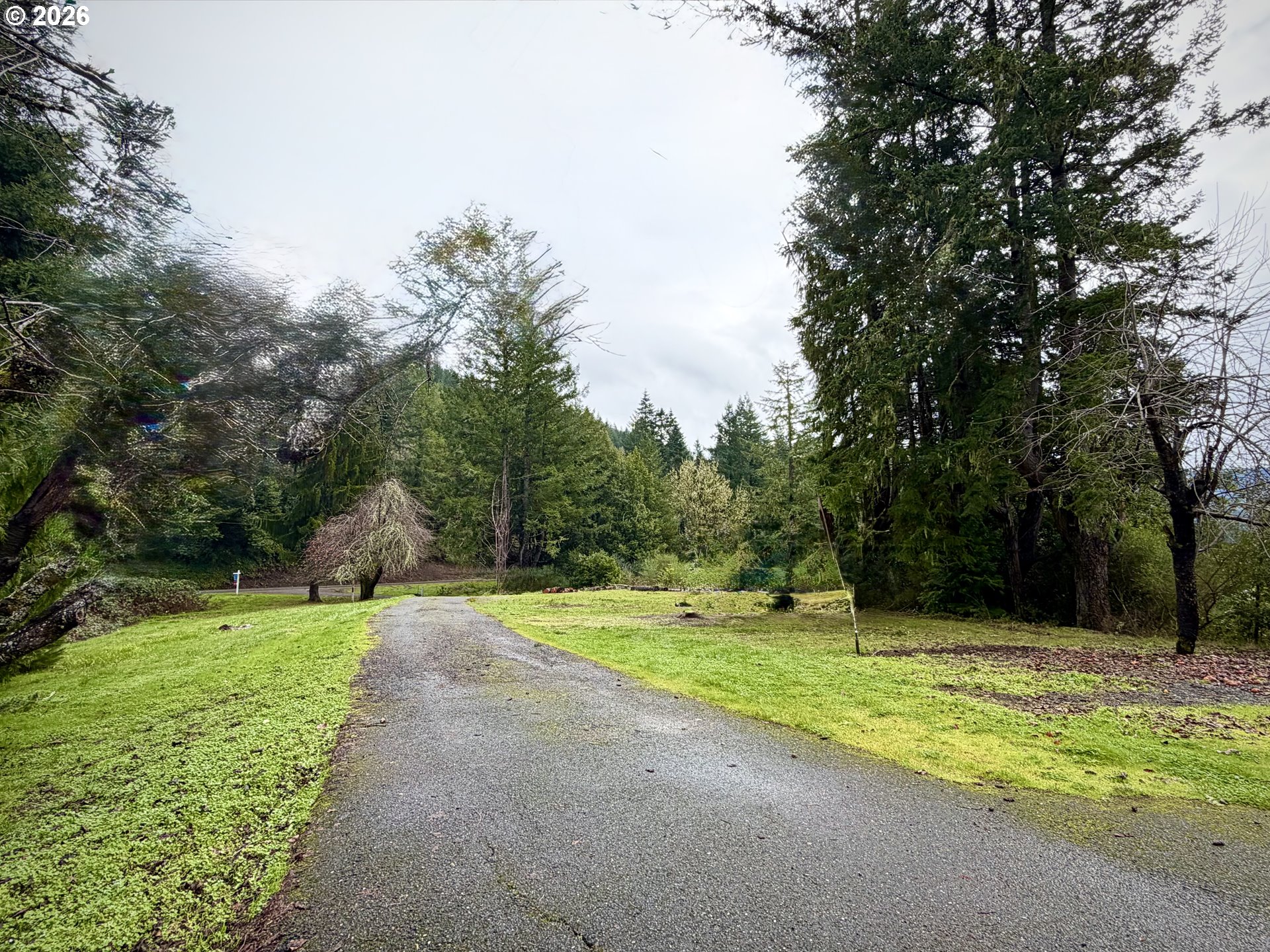 41308 South Powers Road Powers, OR 97466 - Photo 2 of 42 a view of a park with large trees