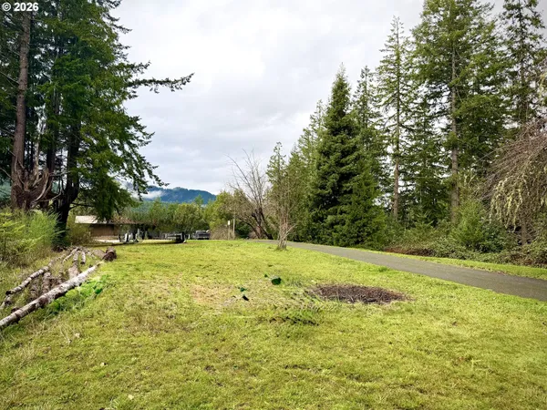 a view of a big yard with large trees