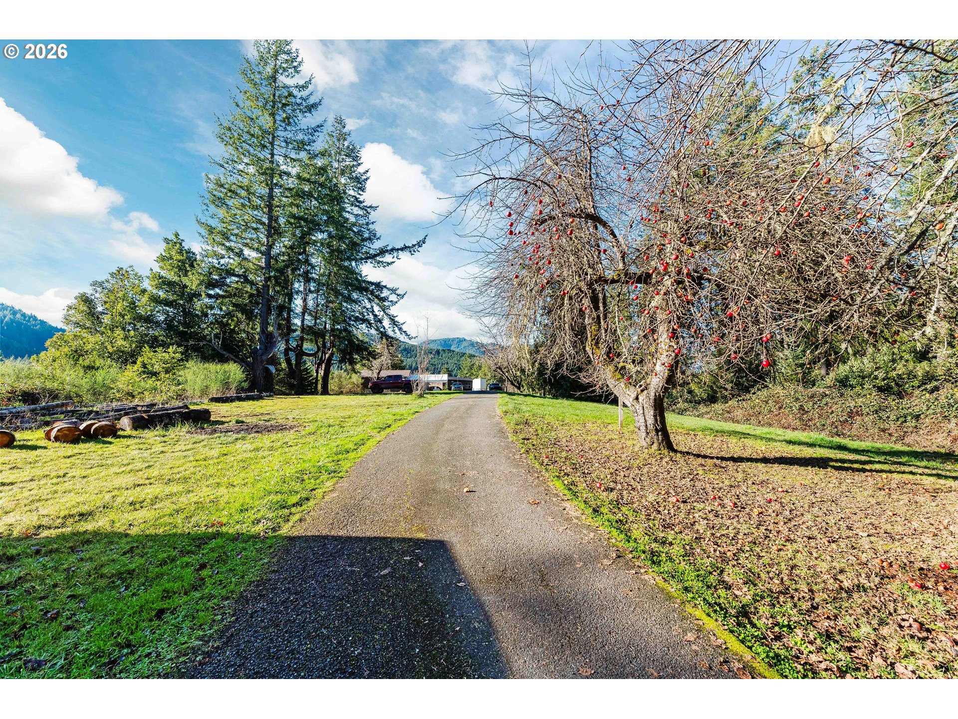41308 South Powers Road Powers, OR 97466 - Photo 40 of 42 a view of a yard with an trees