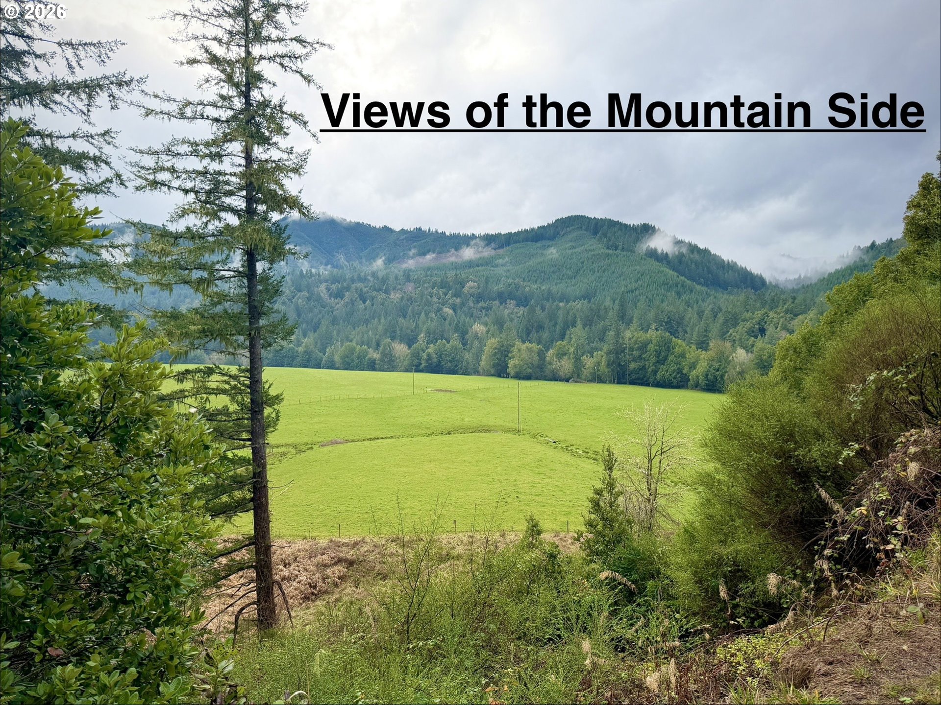 41308 South Powers Road Powers, OR 97466 - Photo 6 of 42 a view of a field with an outdoor space