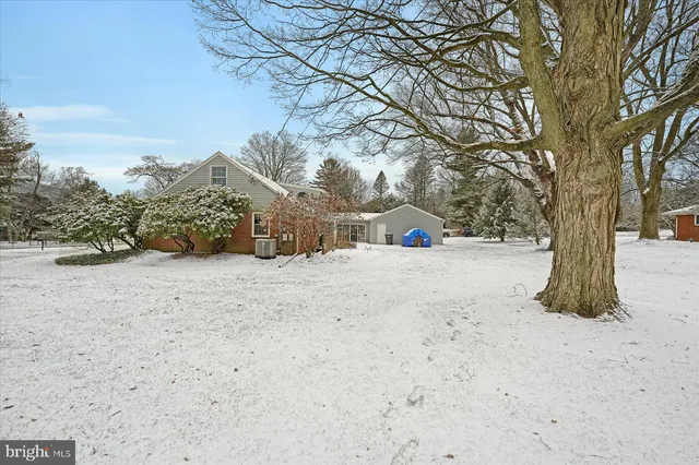 a view of road and trees