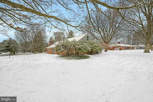 a view of dirt yard with a large tree