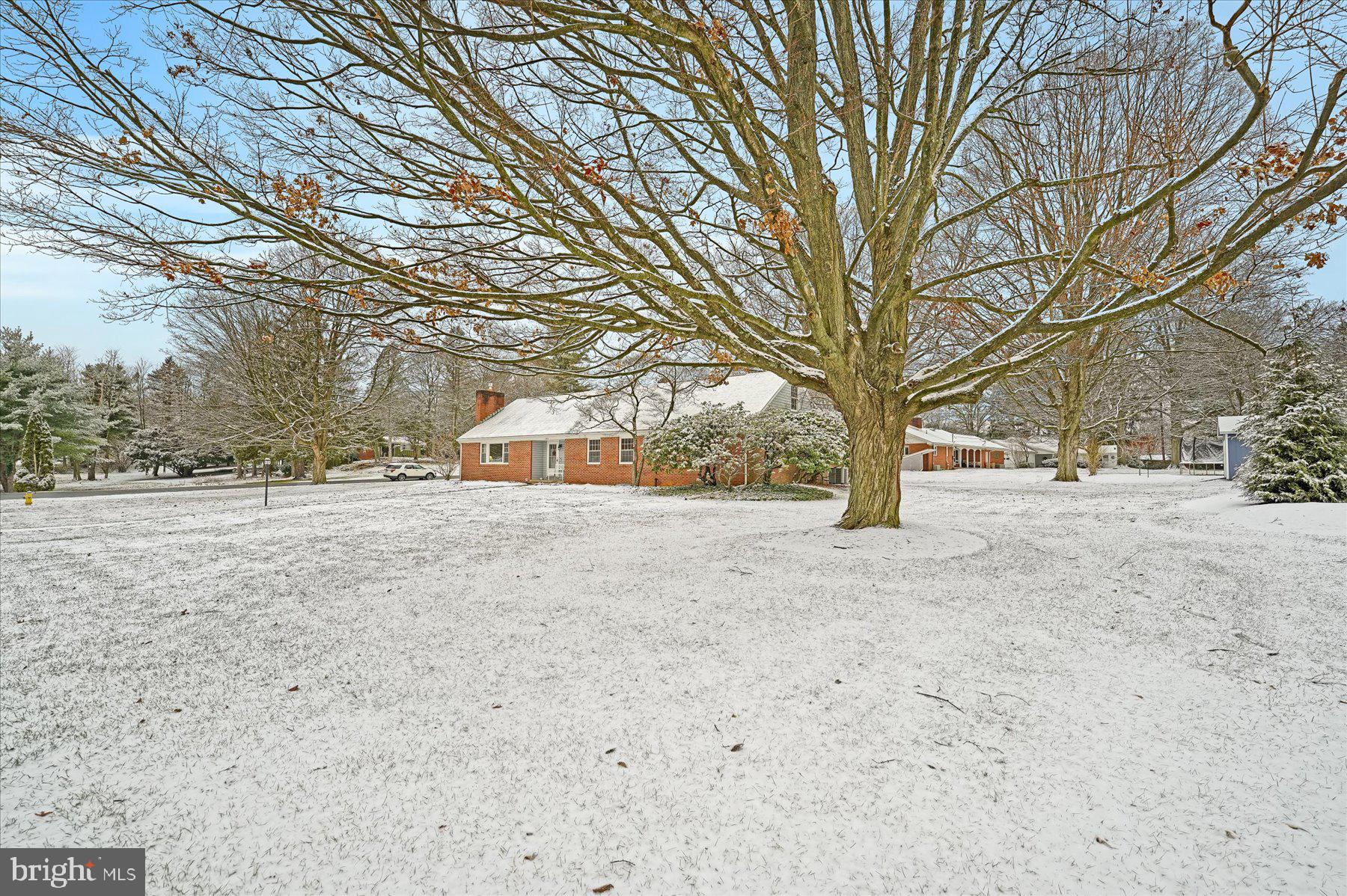1105 Outer Drive State College, PA 16801 - Photo 37 of 44 a view of dirt yard with a large tree