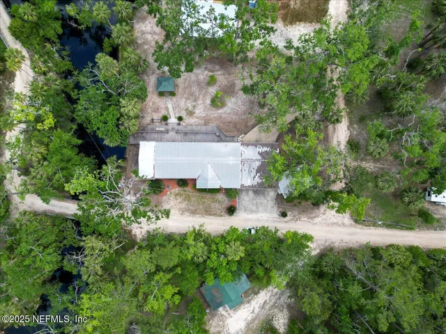 a view of a big yard with plants and large trees