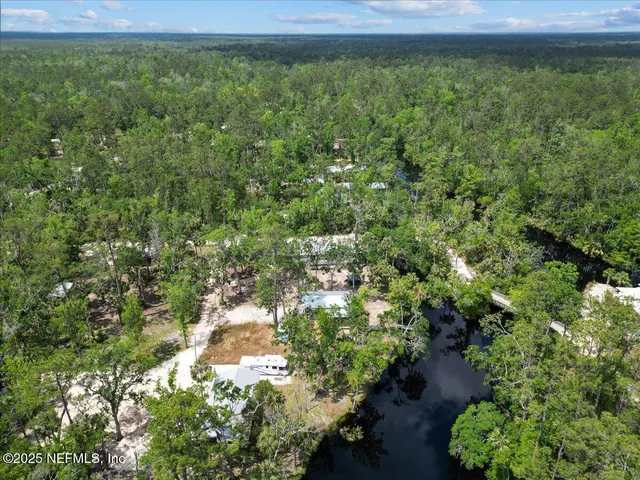 a view of a lush green forest with lots of trees