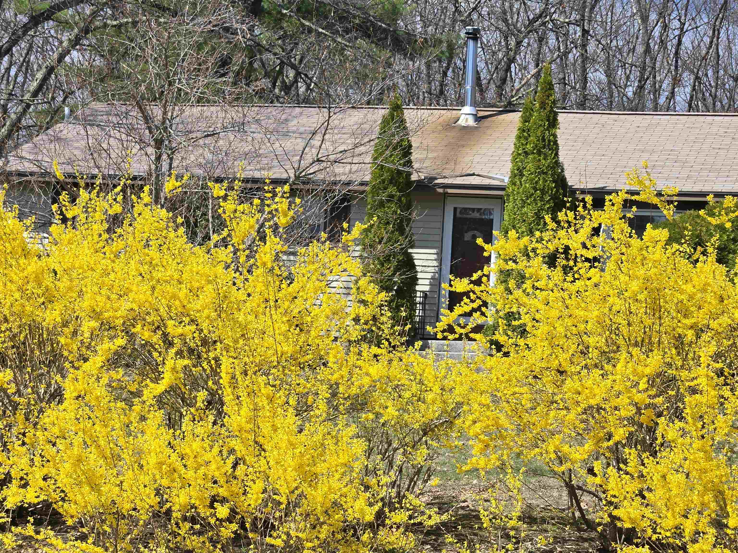 37 Country Club Lane Merrimack, NH 03054 - Photo 3 of 33
