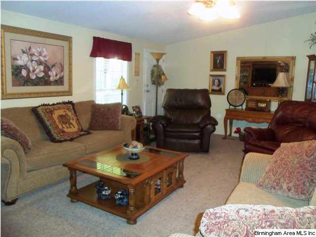 15041 Benevola Road Gordo, AL 35466 - Photo 2 of 21