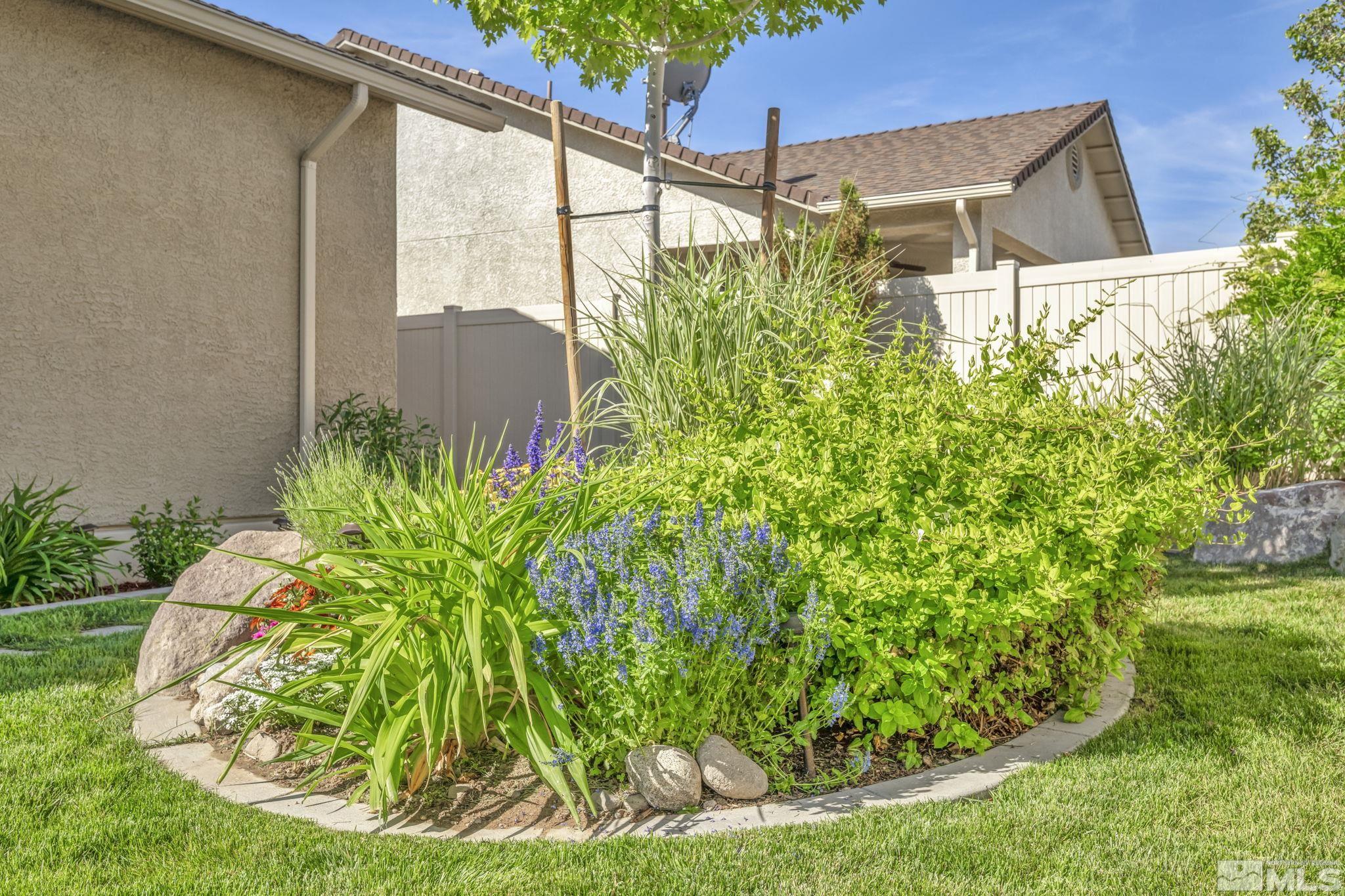 2197 Berkich Court Reno, NV 89521 - Photo 35 of 40 a view of a backyard with plants
