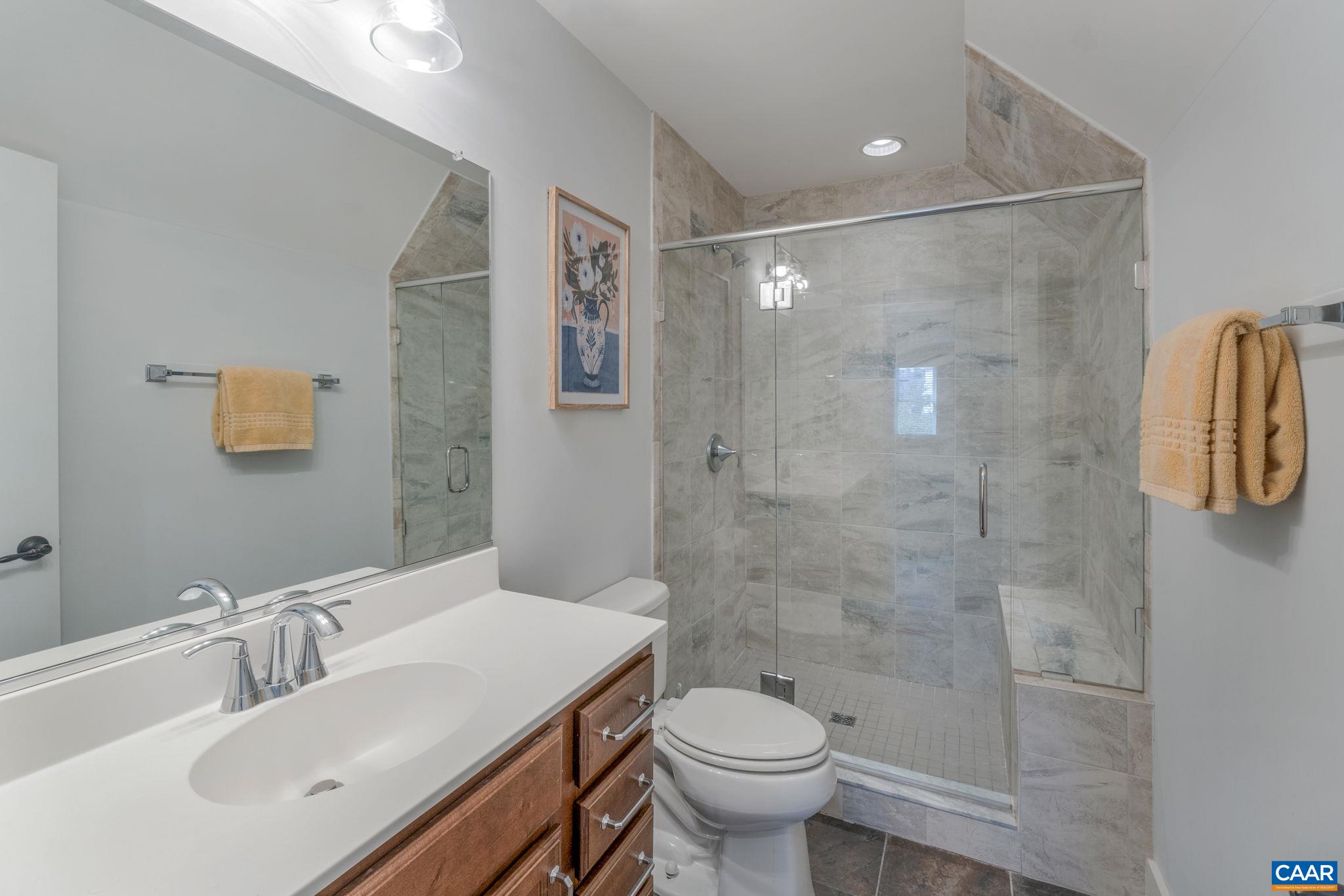 5123 Brook View Road Crozet, VA 22932 - Photo 39 of 75 a bathroom with a sink mirror toilet and shower