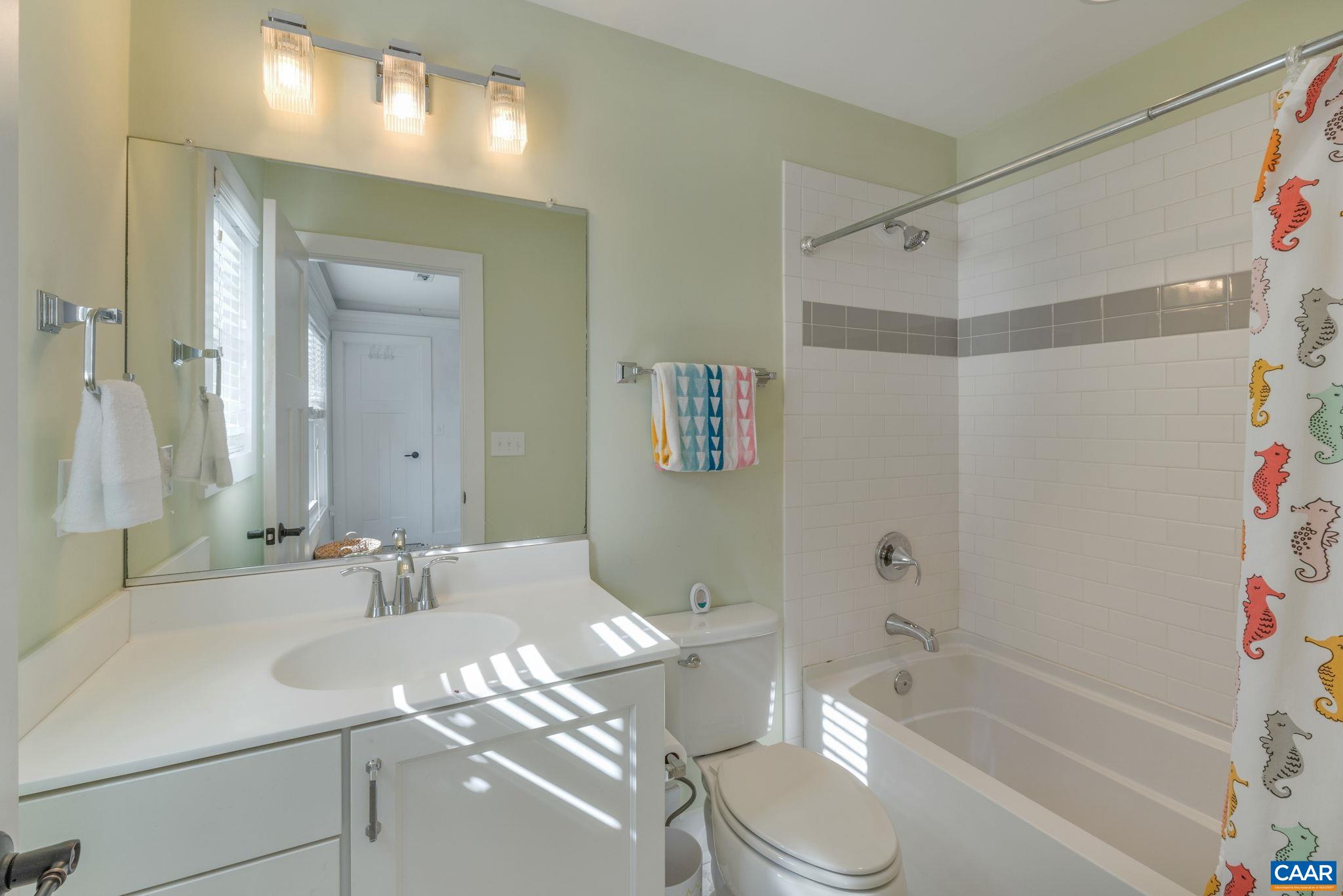 5123 Brook View Road Crozet, VA 22932 - Photo 50 of 75 a bathroom with a sink a toilet and a bathtub