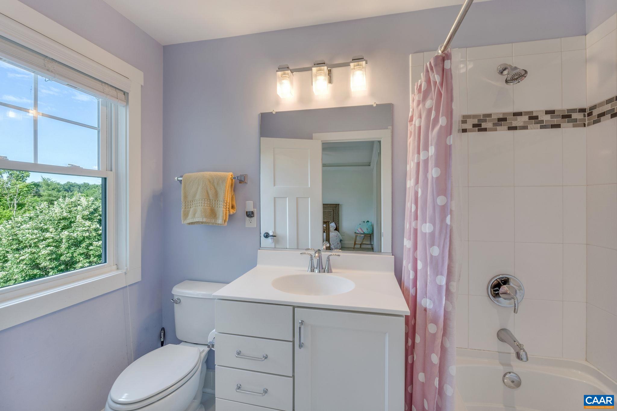 5123 Brook View Road Crozet, VA 22932 - Photo 53 of 75 a bathroom with a sink vanity mirror and toilet