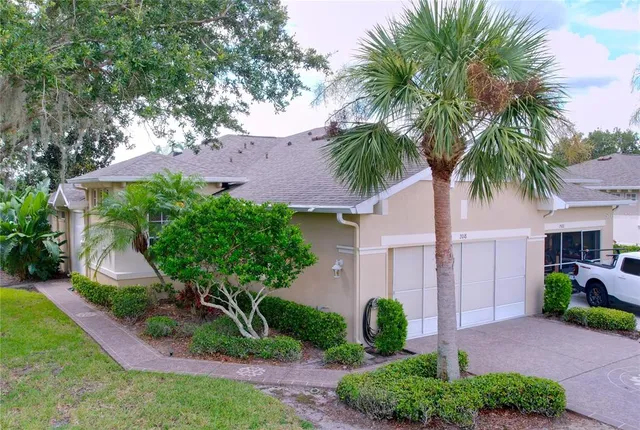 a view of a backyard with potted plants and palm trees