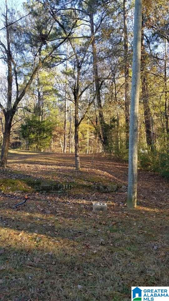 508 Terry Drive Adger, AL 35006 - Photo 12 of 17