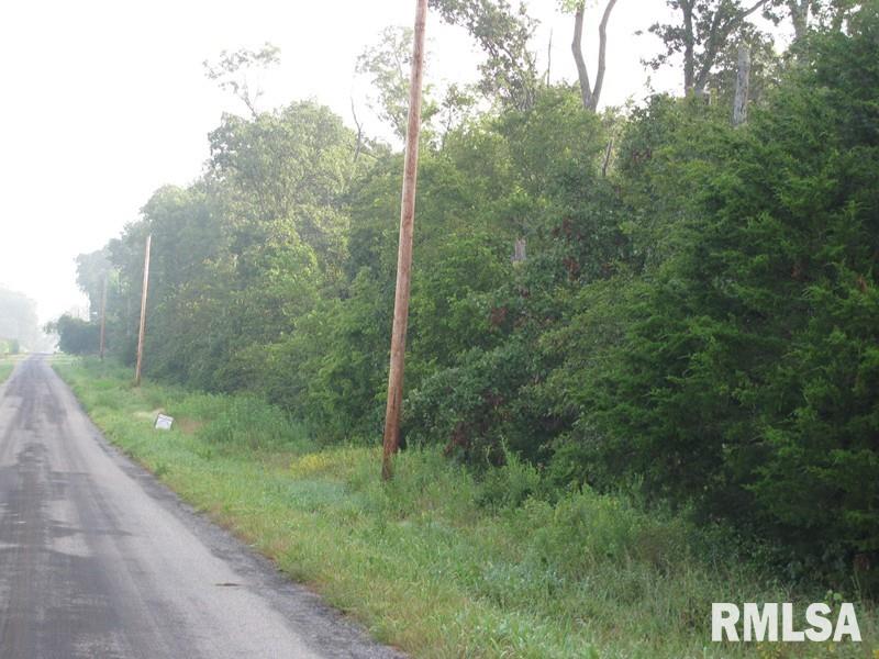 Tbd Thompson Road Tamaroa, IL 62888 - Photo 2 of 4