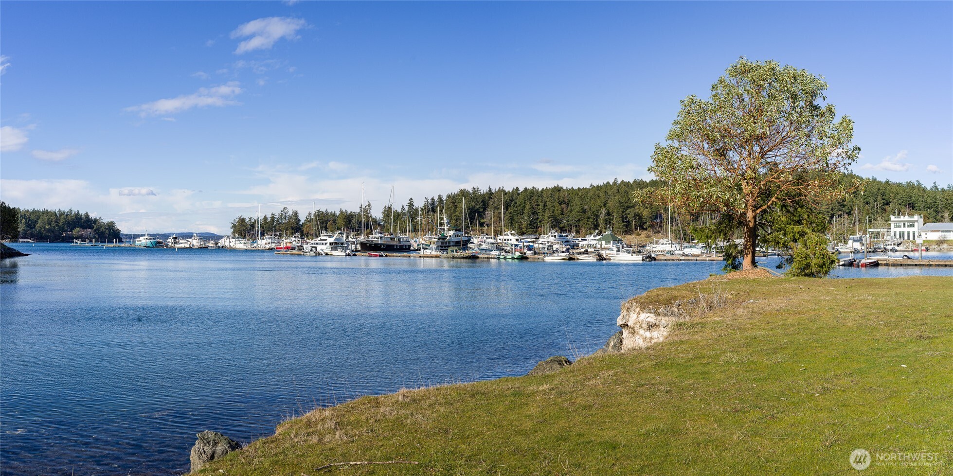 98 Armadale Road, Unit 215 Friday Harbor, WA 98250 - Photo 28 of 39 a view of a lake with houses