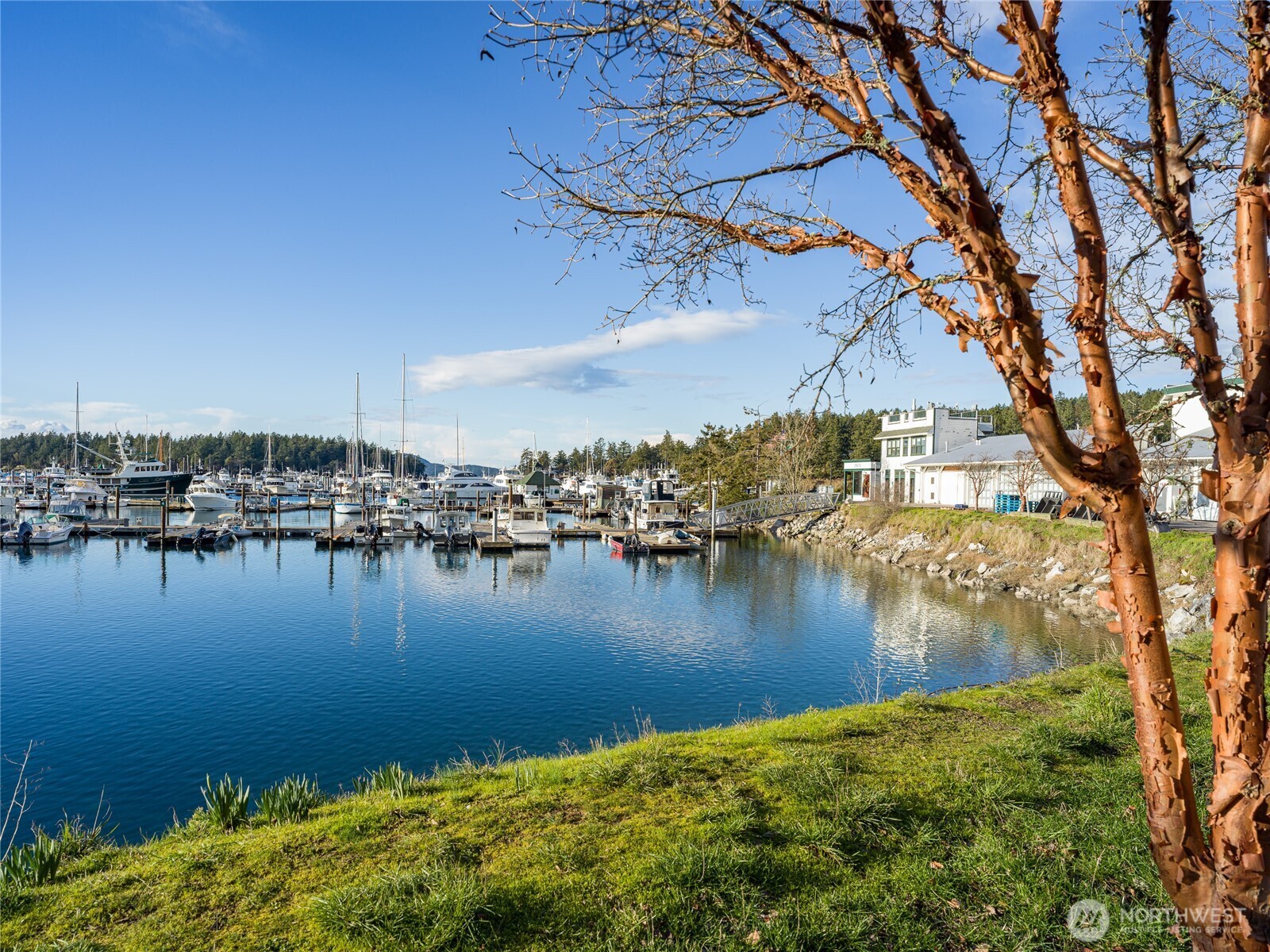98 Armadale Road, Unit 215 Friday Harbor, WA 98250 - Photo 30 of 39 a view of a lake
