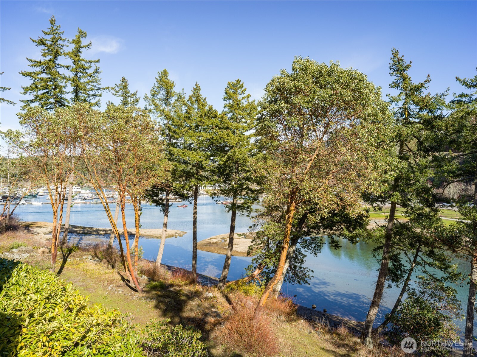98 Armadale Road, Unit 215 Friday Harbor, WA 98250 - Photo 3 of 39 a view of yard