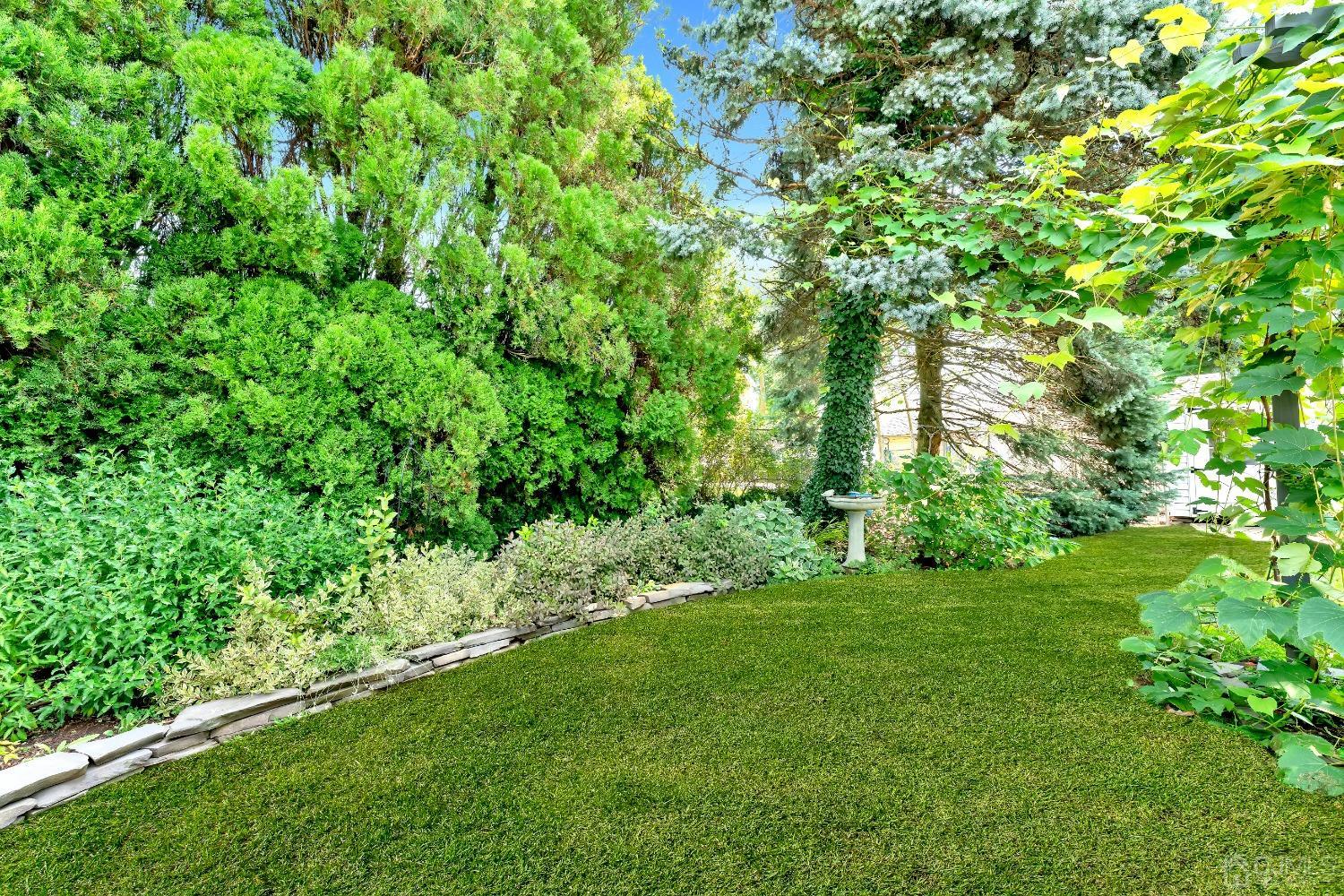 3237 Banta Road South Plainfield, NJ 07080 - Photo 21 of 26 a view of a lush green space