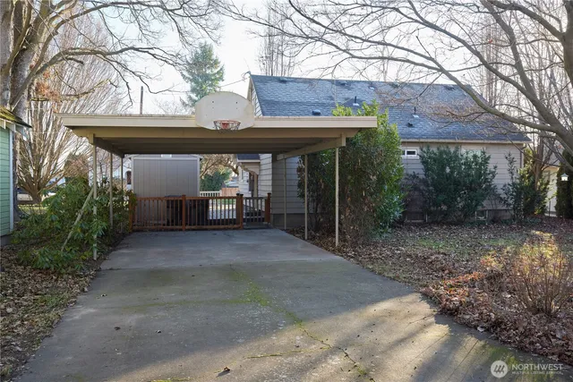 a view of backyard with tree