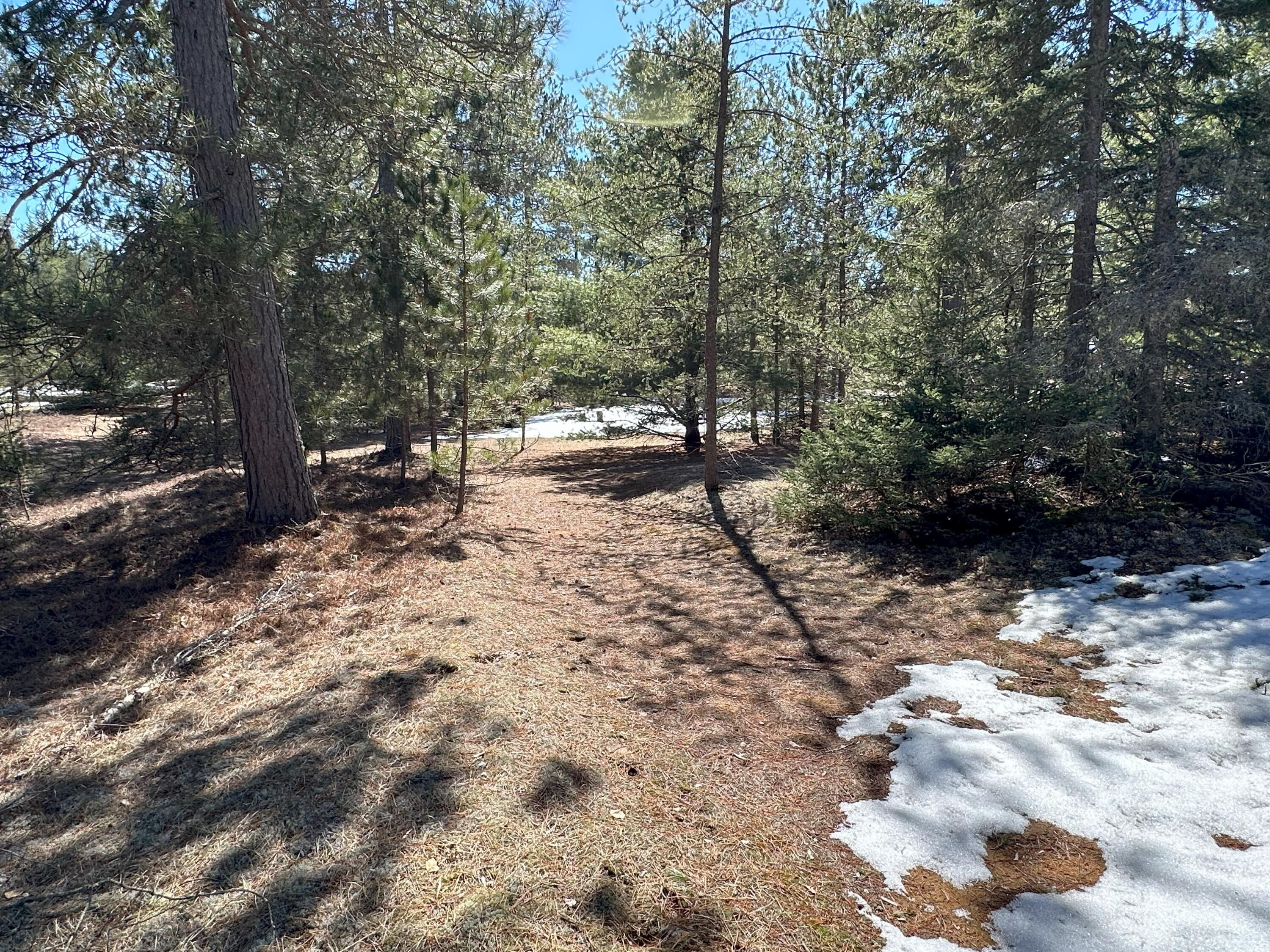 6524 Timber Lost Road Paradise, MI 49768 - Photo 42 of 64 Gallery Image 42