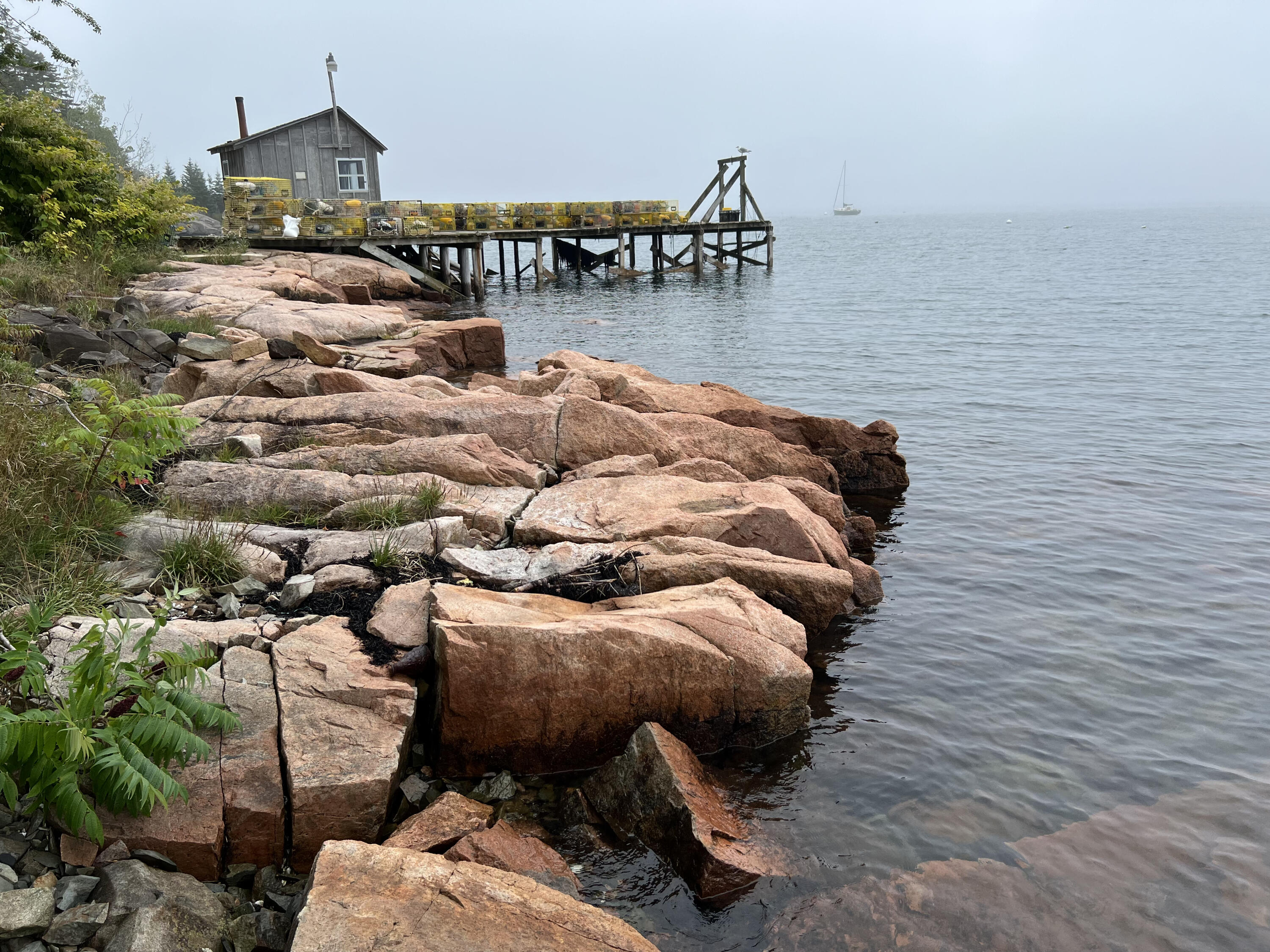 33 Sea Swept Lane Gouldsboro, ME 04607 - Photo 2 of 15 Pink Granite Oceanfront