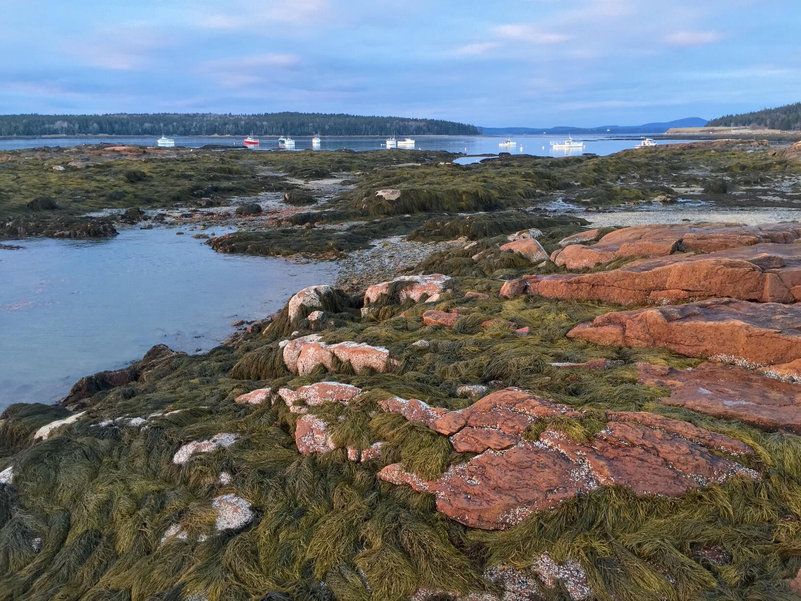 33 Sea Swept Lane Gouldsboro, ME 04607 - Photo 7 of 15 Low tide across pink granite