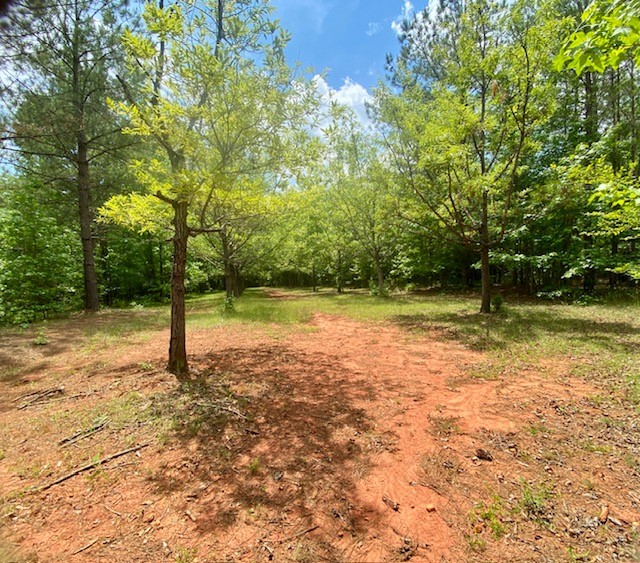 0 Pete Johnson Road Tignall, GA 30668 - Photo 29 of 43