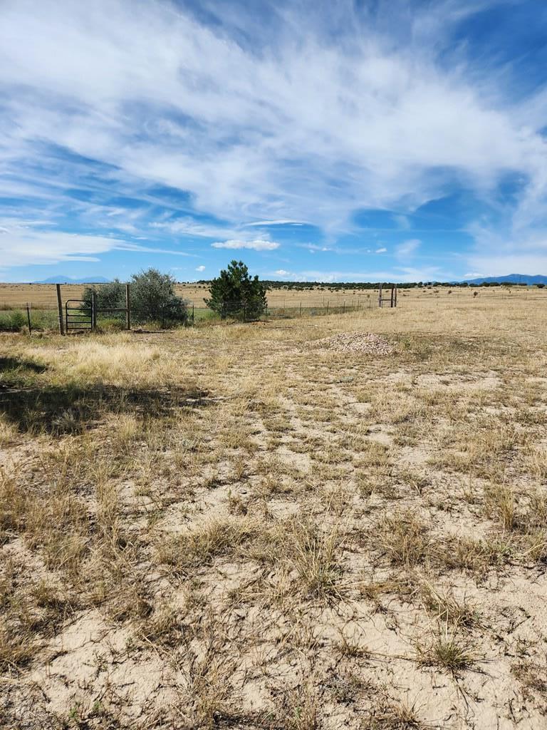 8243 Schmitt Road Rye, CO 81069 - Photo 25 of 42