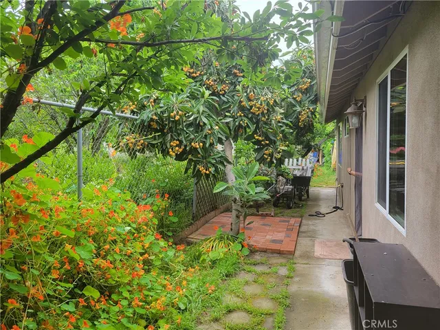 a view of a garden with plants