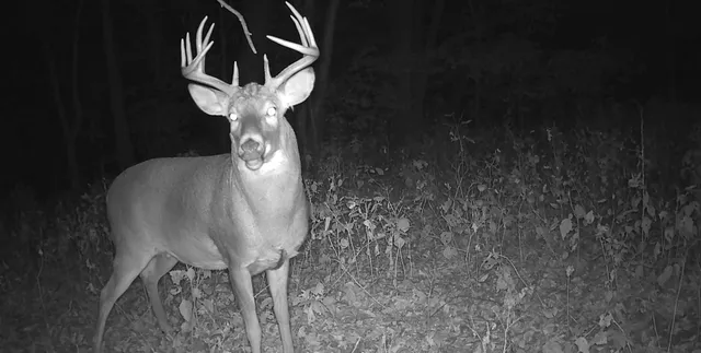 $234,900 | 58877 Sudden Valley View Road, Eastman, WI 54626