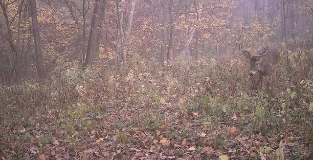 $234,900 | 58877 Sudden Valley View Road, Eastman, WI 54626