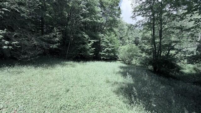 58 Smokey Br Road Danese, WV 25831 - Photo 16 of 22 Gallery Image 16