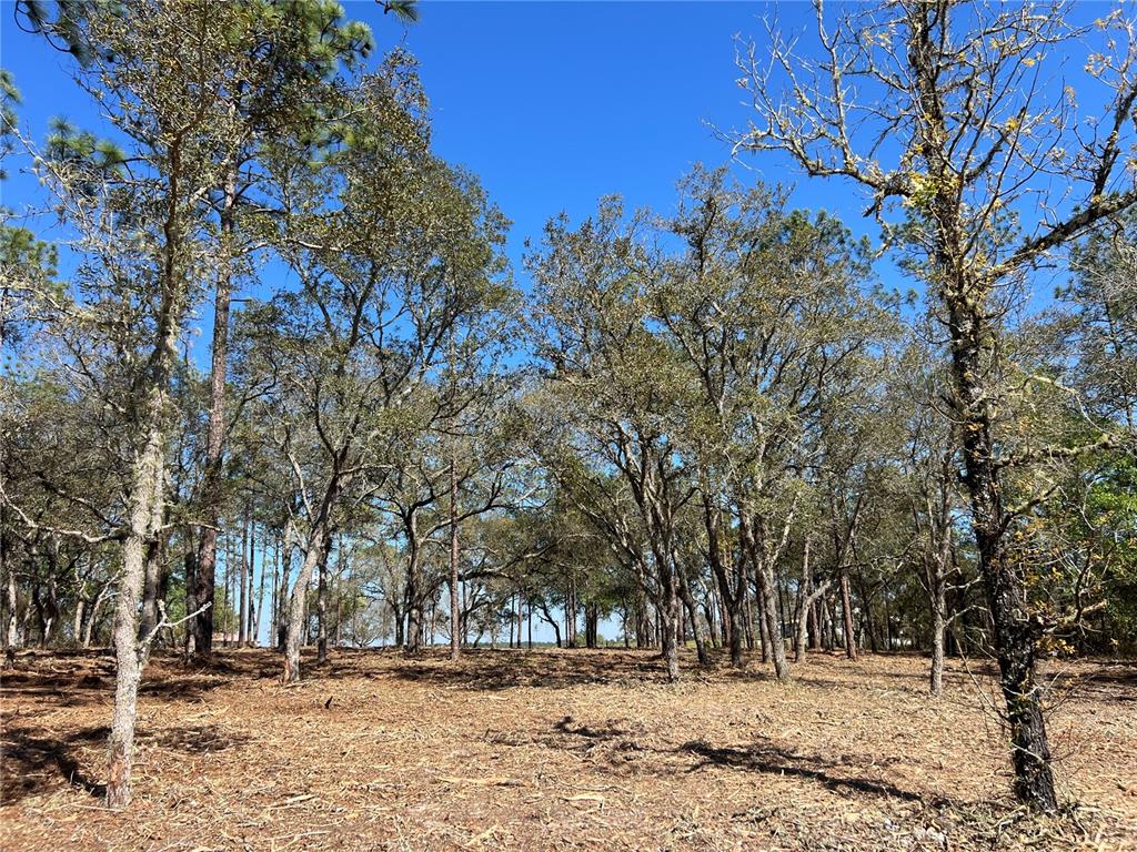 25 Southwest Timberlake Road Dunnellon, FL 34431 - Photo 2 of 27