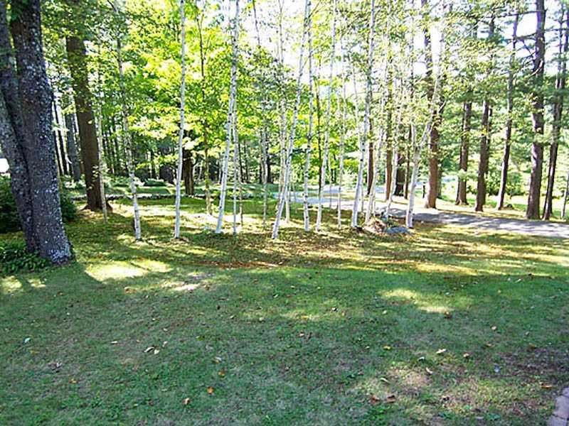 800 South Strong Road Strong, ME 04983 - Photo 31 of 35 Yard/Garden. Front Yard with Tall...