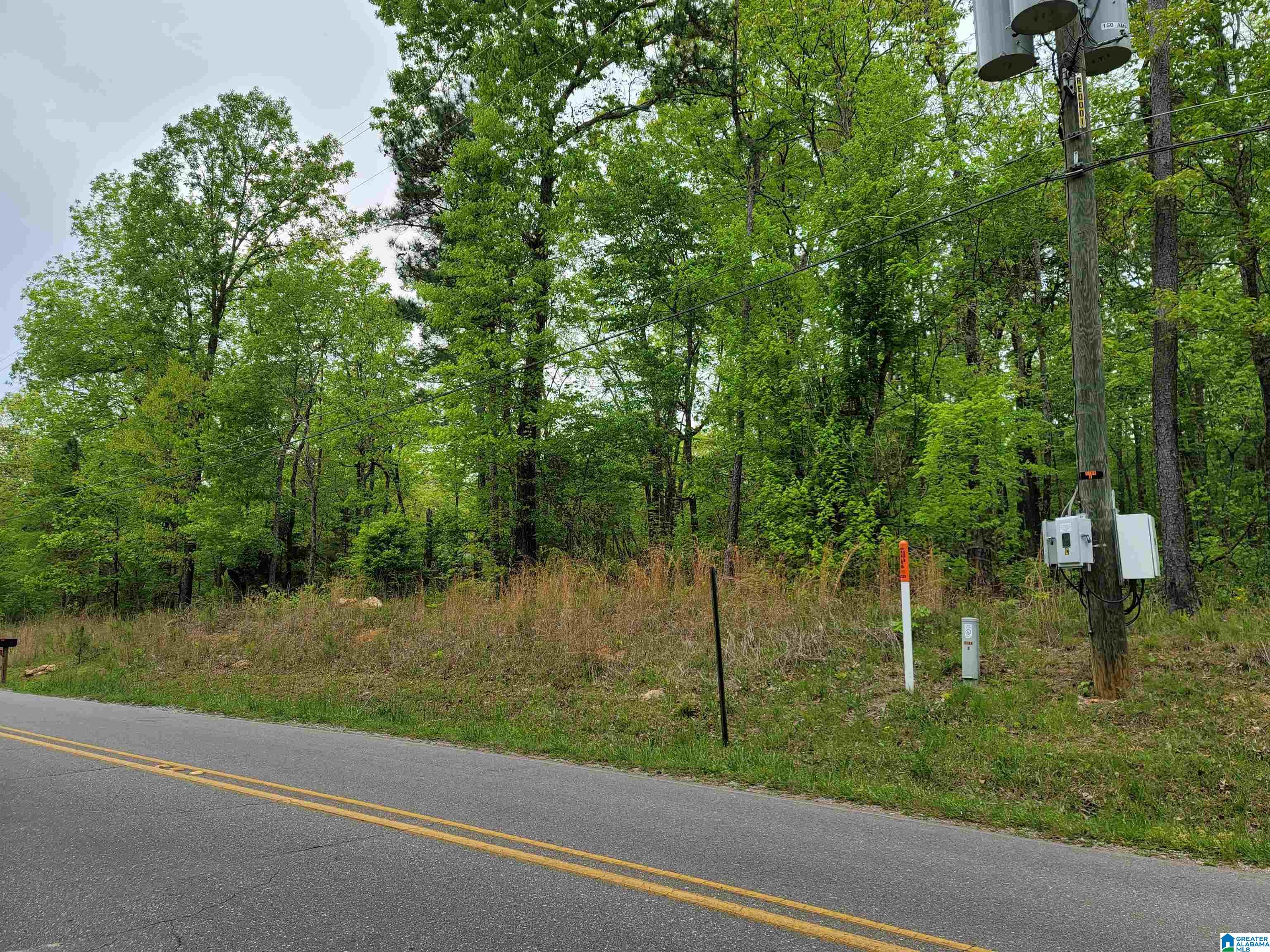 0 Mays Bend Road, Unit 7 Pell City, AL 35128 - Photo 2 of 3