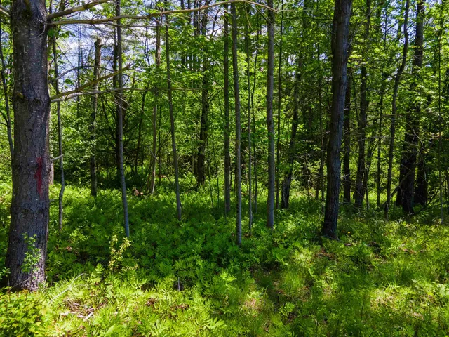 $100,000 | 381 East Green Mountain Road, Claremont, NH 03743