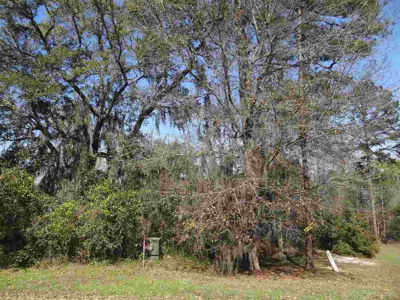 Lot 9 Raspberry Way Tallahassee, FL 32312 - Photo 2 of 3