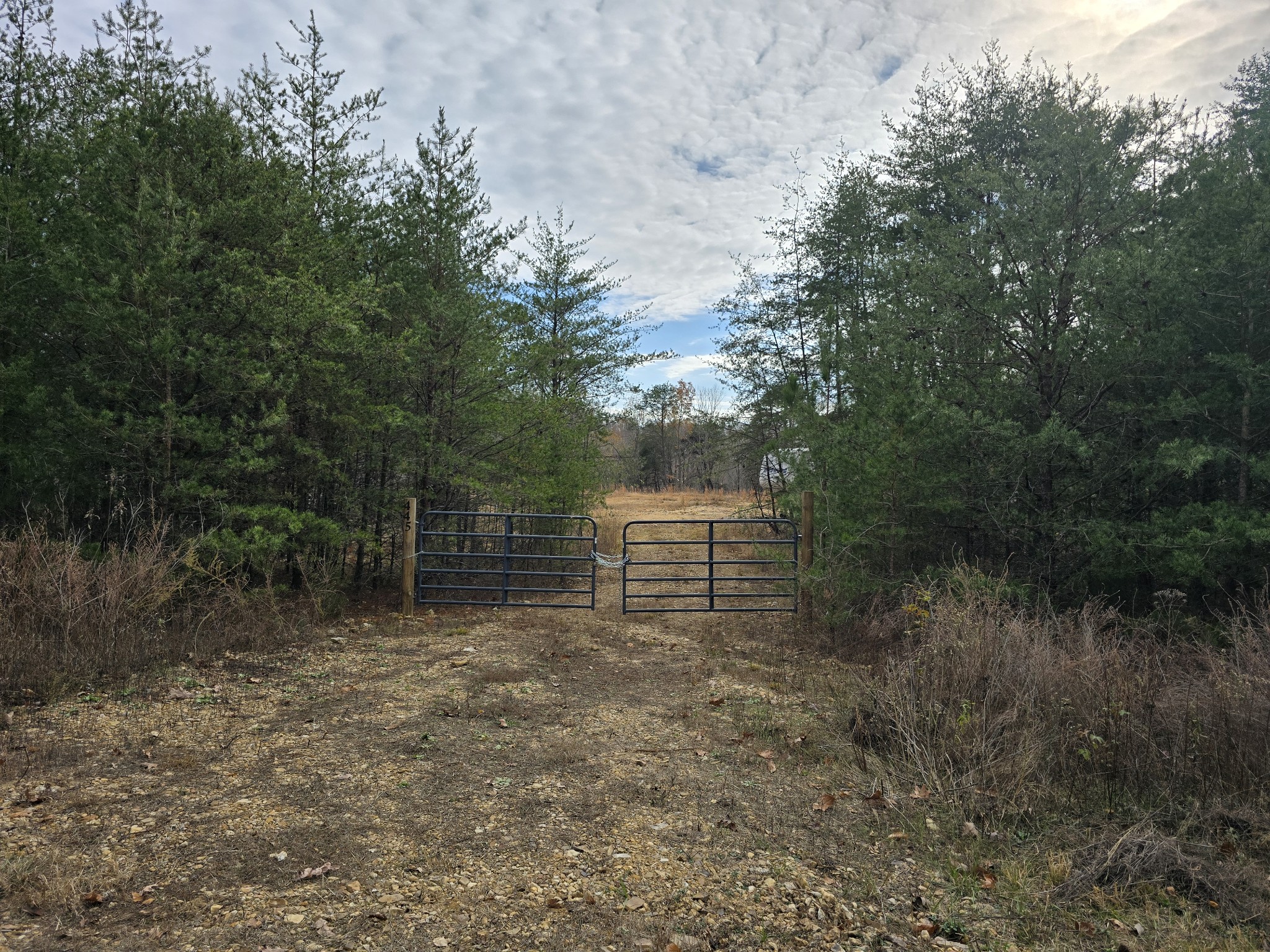 445 Highwater Road Waverly, TN 37185 - Photo 1 of 25 Private gate to property