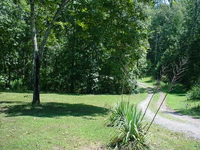 1697 Burrows Crossing Road Jasper, AL 35504 - Photo 4 of 10 Gallery Image 4