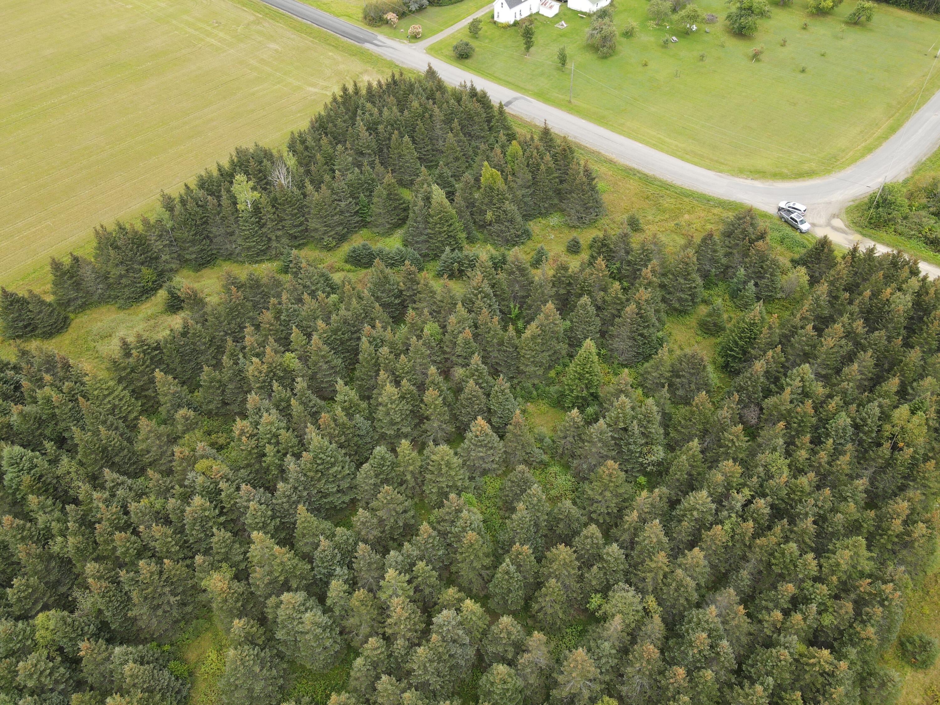Photo_6554229_DJI_629_jpg_7718845_0_2021