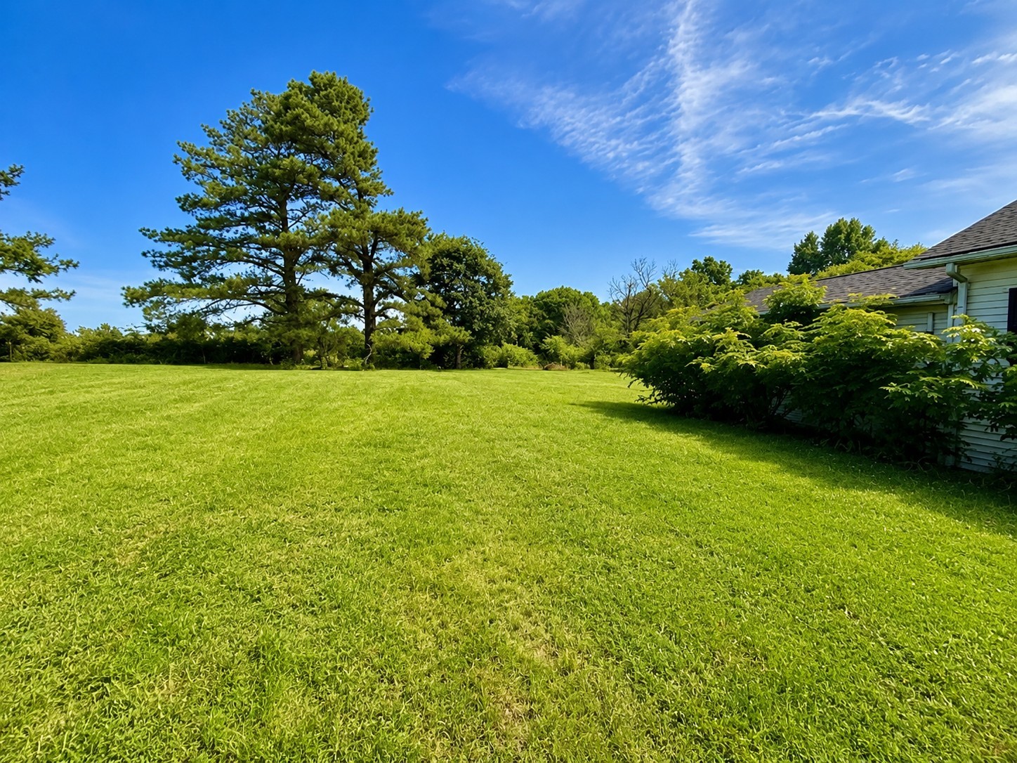 560 State Line Road Loretto, TN 38469 - Photo 8 of 8 Gallery Image 8