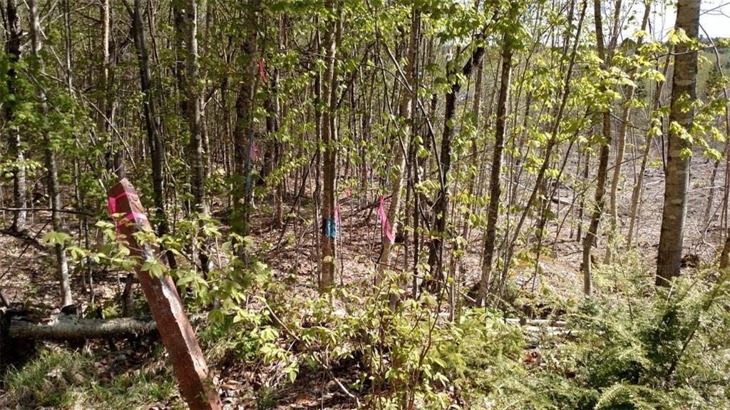 Lot W Lot W Memory Lane Road Lakeville, ME 04487 - Photo 3 of 8 Photo