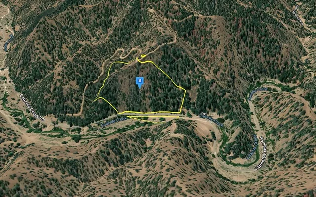 a view of a tree in a yard