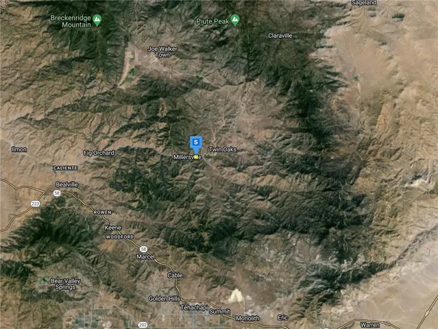 a close up of a plant