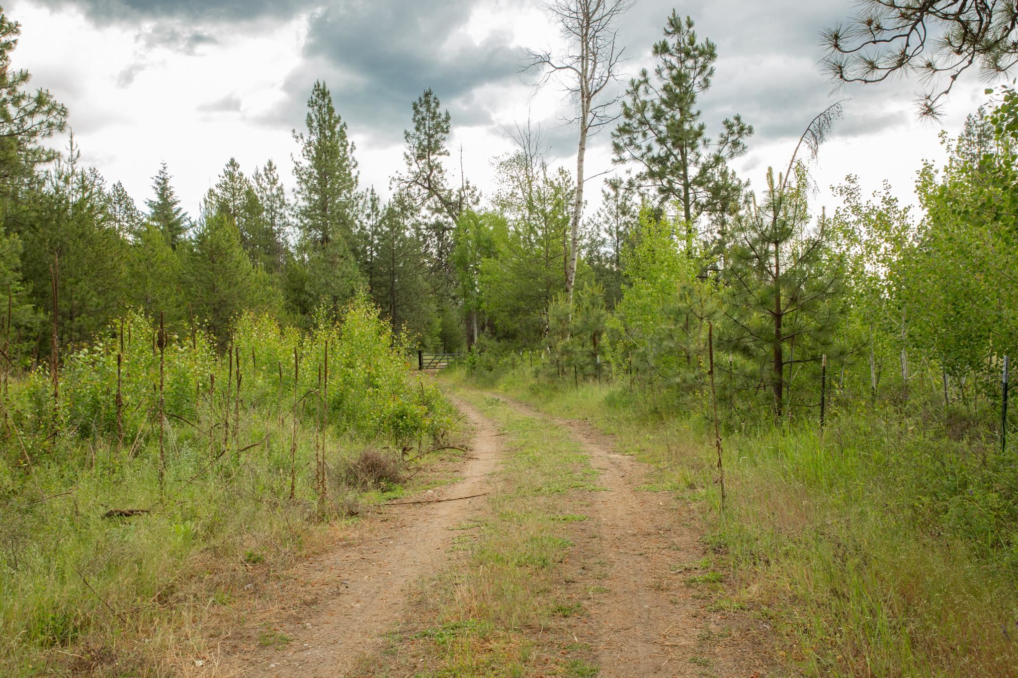 4110 Cemetery Tract Ab Road Springdale, WA 99173 - Photo 4 of 22